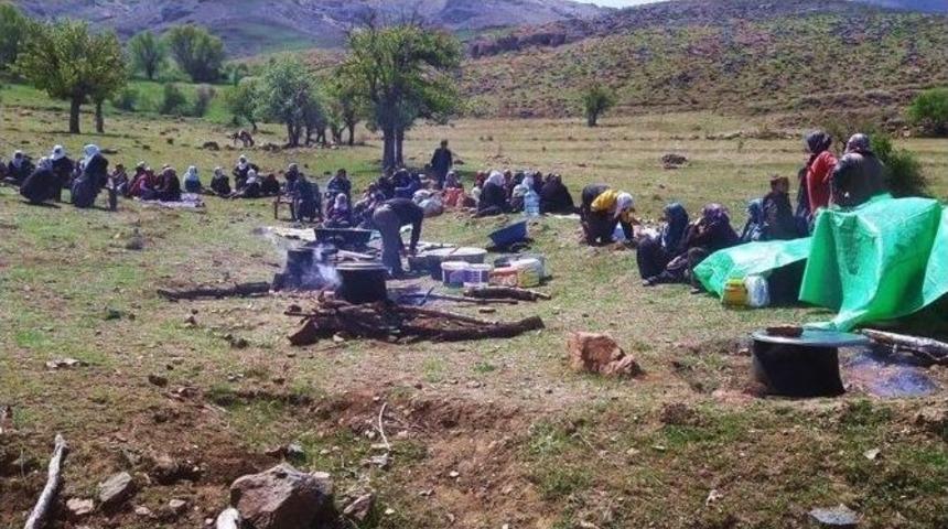 Kutlu Doğumu Kurbanlar Keserek Kutladılar