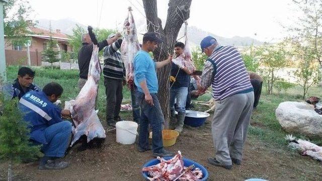 Kutlu Doğumu Kurbanlar Keserek Kutladılar