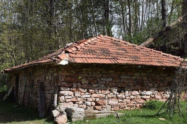 400 Yıllık Su Değirmeni Yeniden Çalışacak