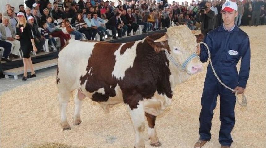 Burdur Tarım Ve Hayvancılıkta Zirveye Oynayacak