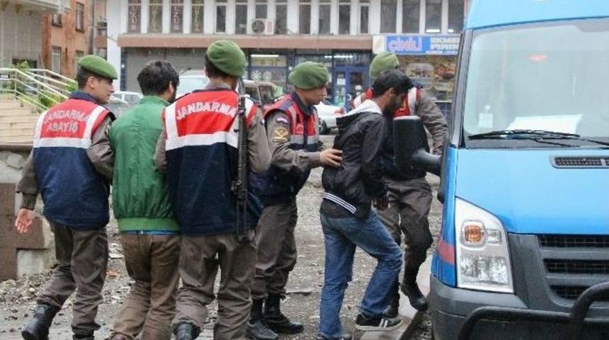 Fındık Hırsızları Jandarmadan Ka&ccedil;amadı