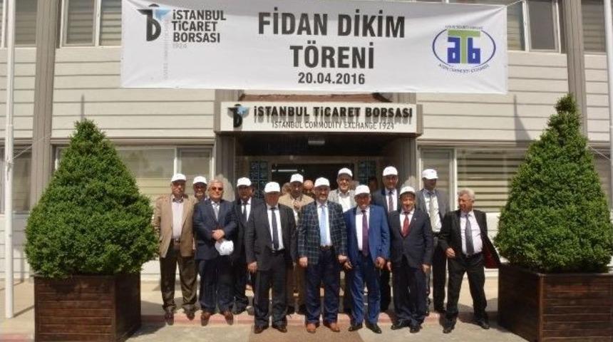 Kardeş Aydın Ve İstanbul Borsaların Fidan Dikme T&ouml;reni