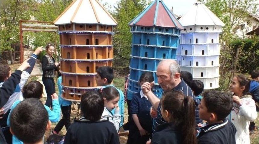 &Ouml;ğrenciler, Kuşlara Yuva Yapacak