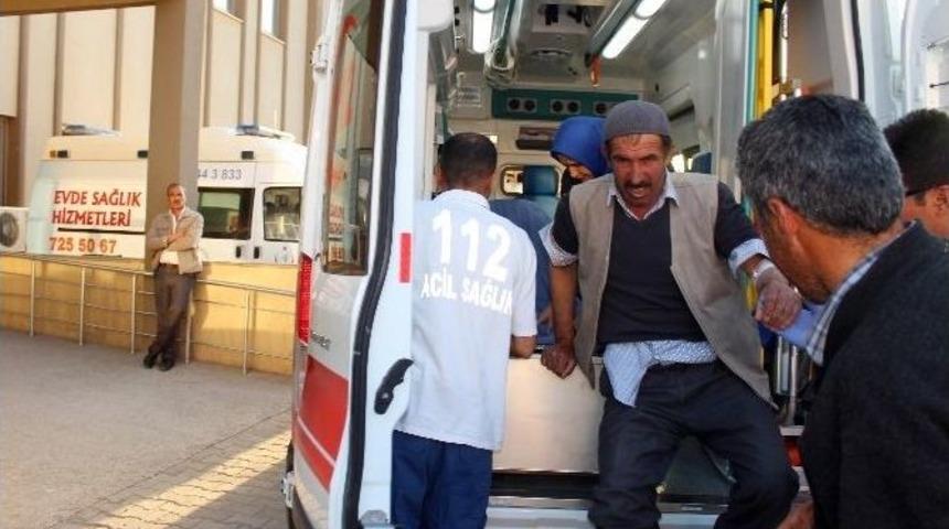 Adıyaman&rsquo;da 2 Kişiyi Yılan Soktu