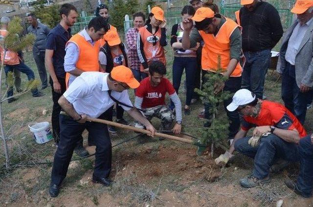 Başkan Gülcüoğlu Tema Vakfı Ağaç Dikimine Katıldı