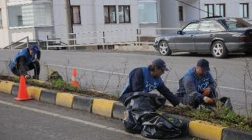 Typ Katılımcılarına Eğitim