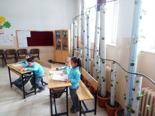 Dereköy Ortaokulu’nda ’okul Benim Çileğimdir’ Projesi