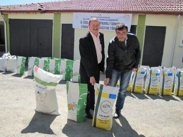 Çiftçilere Yem Bitkileri Tohumu Dağıtıldı