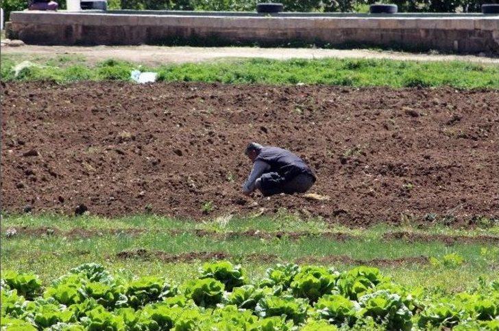 Kilis’e Düşen Rokete Ait Parçalar İmha Edildi G1