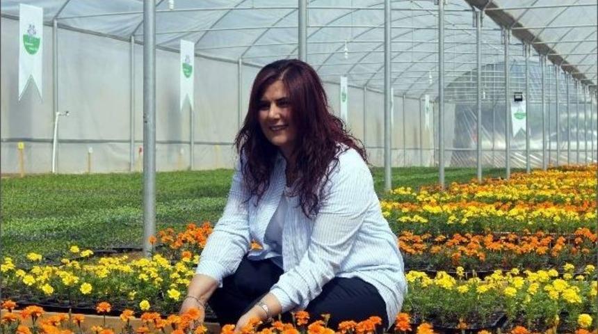 Başkan &Ccedil;er&ccedil;ioğlu, Bozdoğan&rsquo;da Yerel &Uuml;r&uuml;nlere Sahip &Ccedil;ıktı