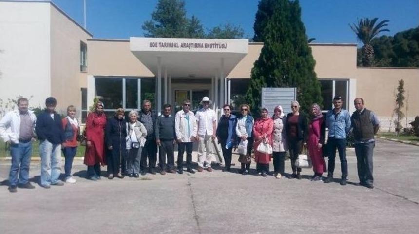 Burhaniyeli &Ccedil;ift&ccedil;iler Aromatik Bitki Ekecek