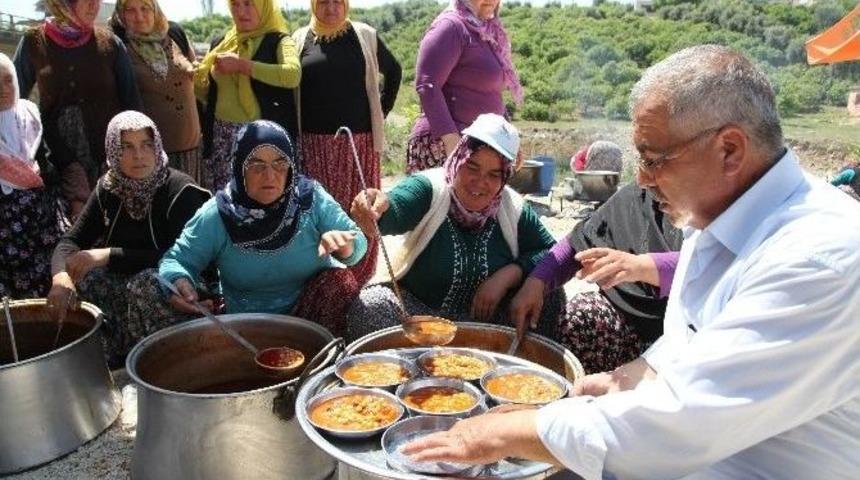 Erdemli&rsquo;de Kutlu Doğum Etkinliği