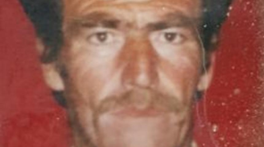 Ağa&ccedil;tan D&uuml;şen Yaşlı Adam Hayatını Kaybetti