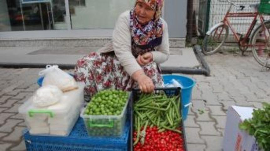 Lapseki Kirazı Halk Pazarına İndi