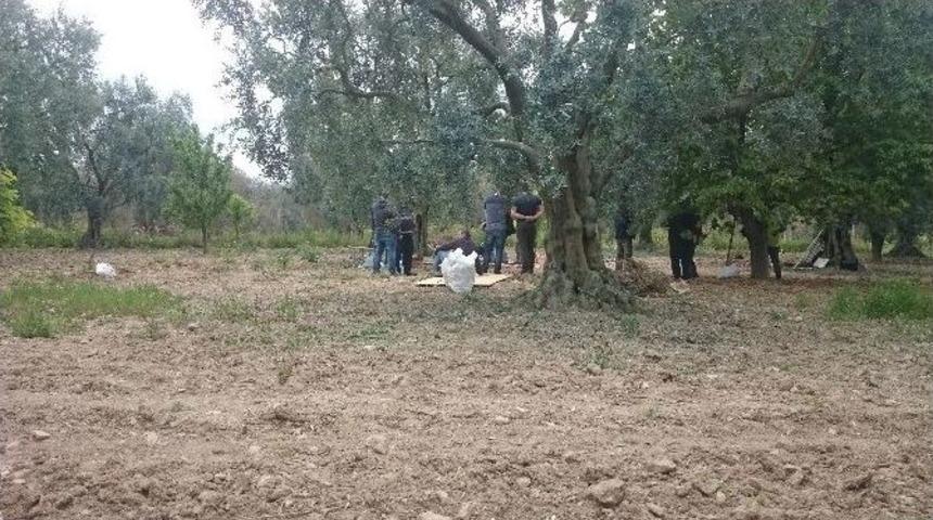 Tarlada Romalılardan Kalma Oda Mezarı Bulundu