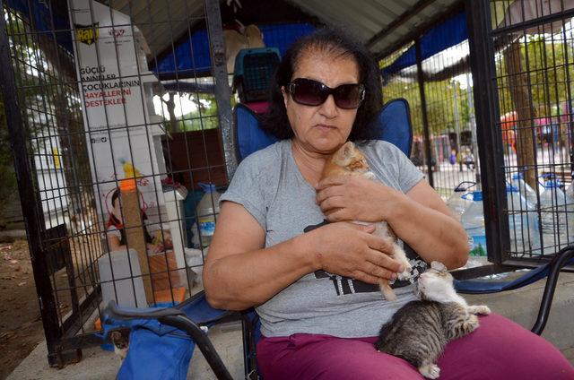 Kedi evinin gönüllü bakıcısı