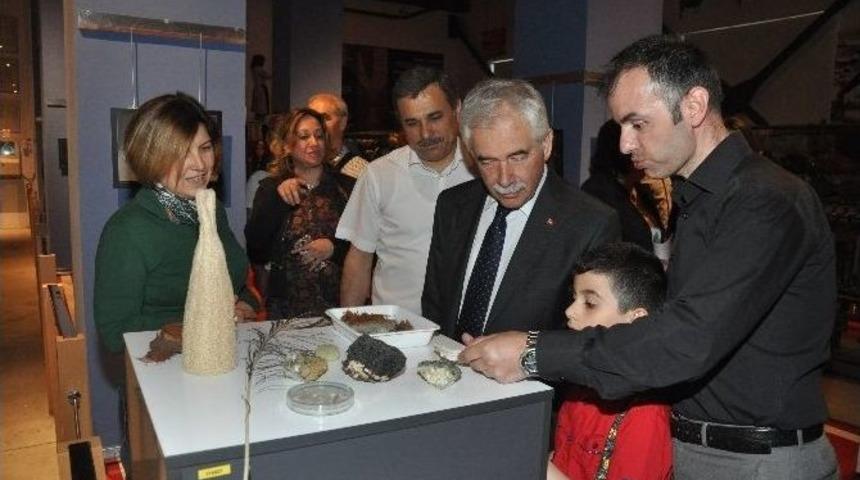 Tekstil Sanayi M&uuml;zesi&rsquo;nde Doğanın G&uuml;zellikleri Fotoğraf Sergisi
