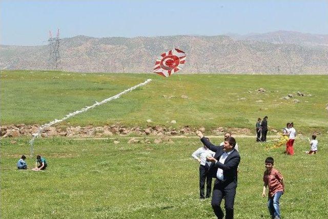 Cizre’de Uçurtma Şenliği Düzenlendi