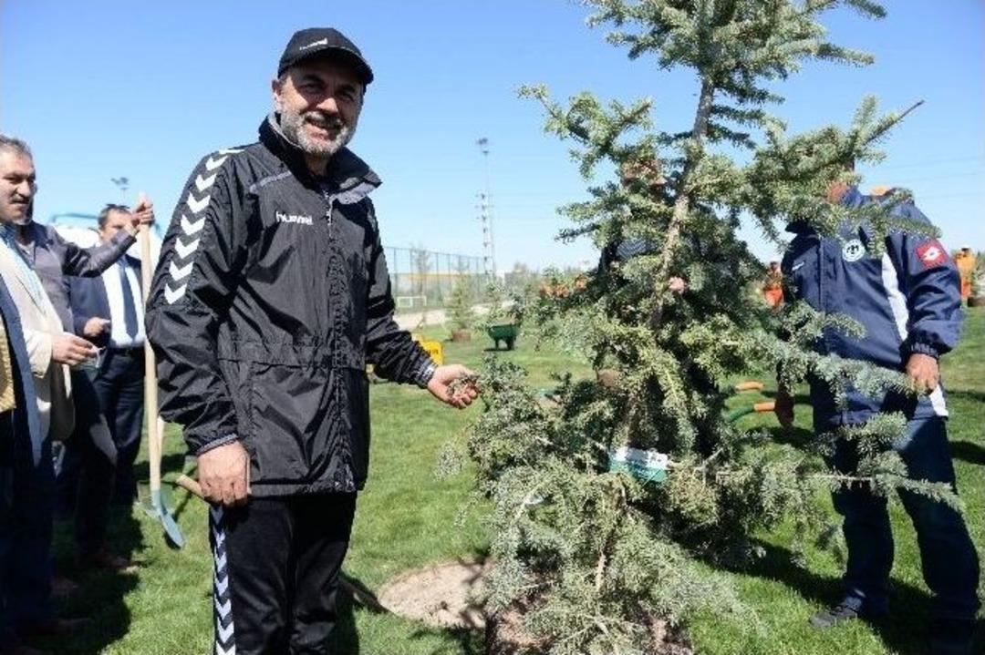 Torku Konyaspor&rsquo;da Y&ouml;netim, Teknik Heyet Ve Futbolcular Fidan Dikti