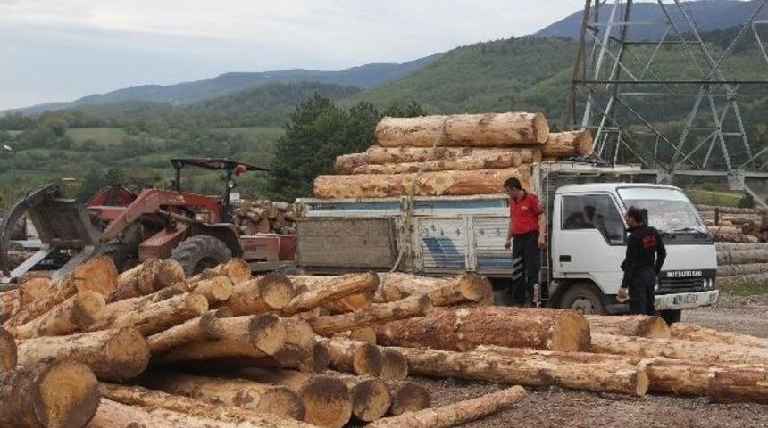 Tomrukların Altında Kalan S&uuml;r&uuml;c&uuml; Yaralandı