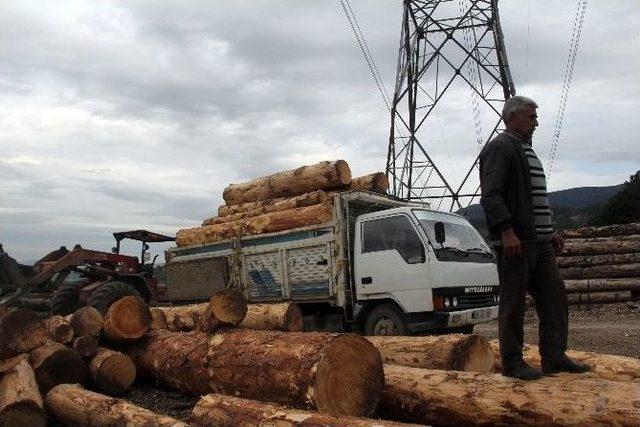 Tomrukların Altında Kalan Sürücü Yaralandı