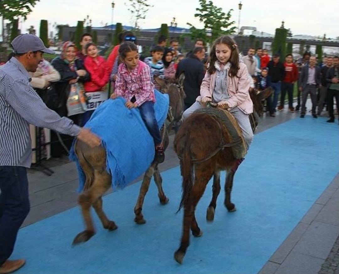 &Ccedil;ocuklar Eşeğe Ters Binerek Yarıştı