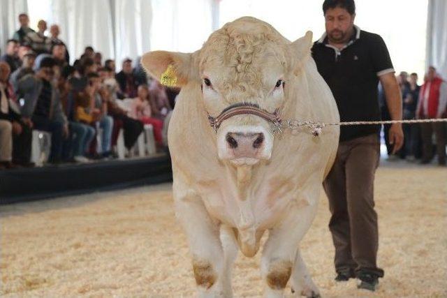 İş Dünyasından Burdur Fuarı’na Tam Destek