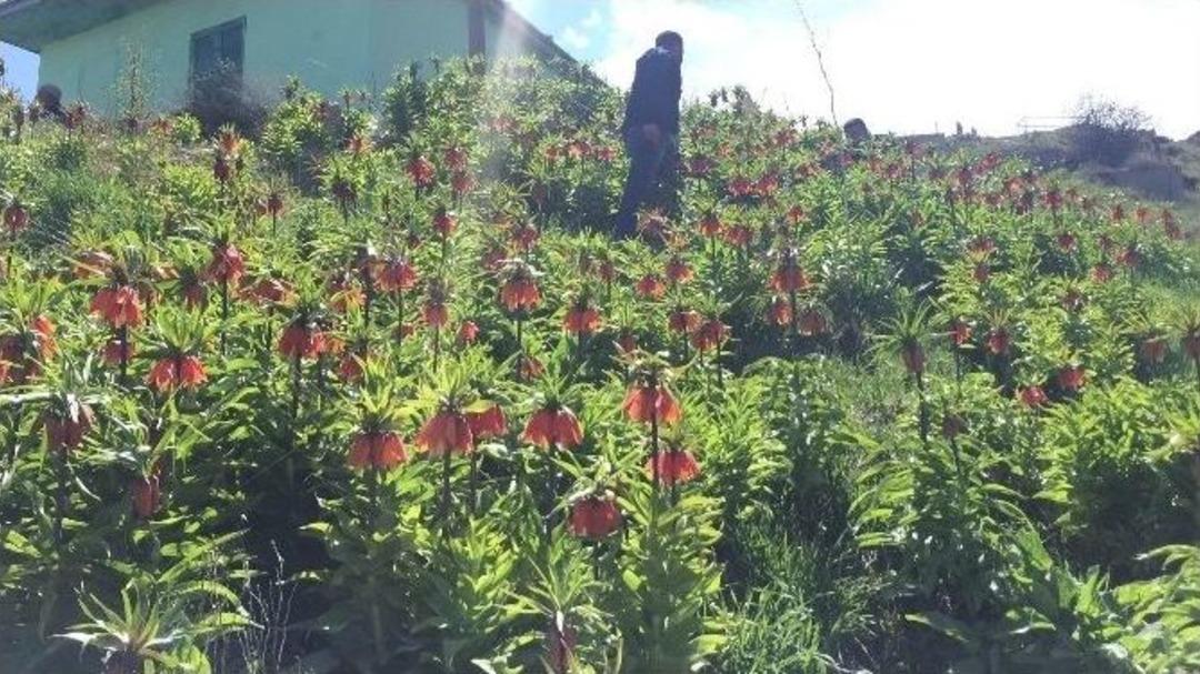 (&ouml;zel Haber) - Van&rsquo;ın İki G&uuml;zel Y&uuml;z&uuml;