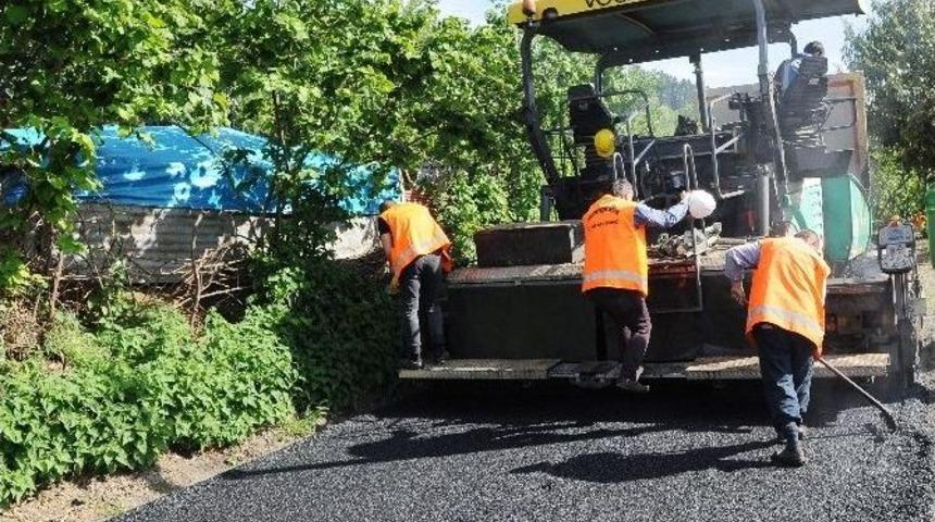 Trabzon B&uuml;y&uuml;kşehir Belediyesi Asfaltlama &Ccedil;alışmalarına Başladı