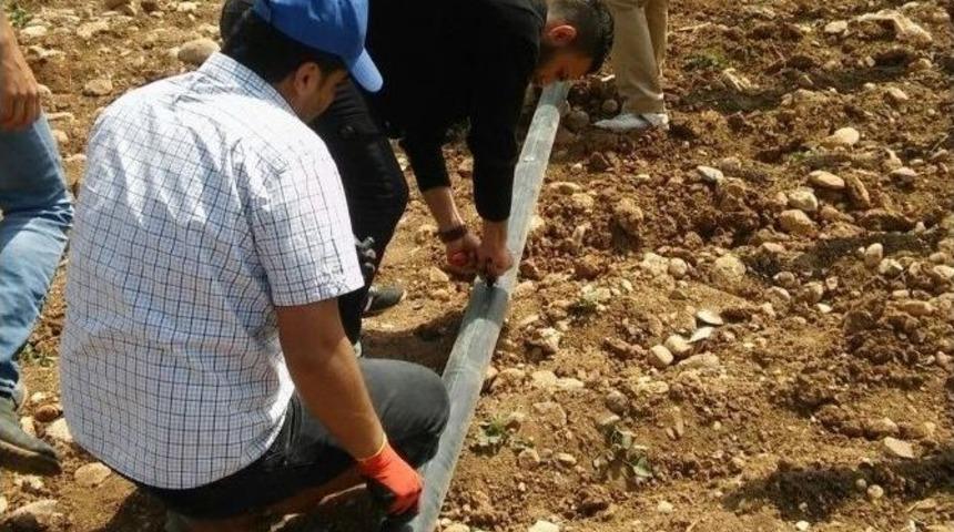 Kahta Meslek Y&uuml;ksek Okulunda &Ccedil;ilek Demonstrasyon Uygulama Alanı Kuruldu