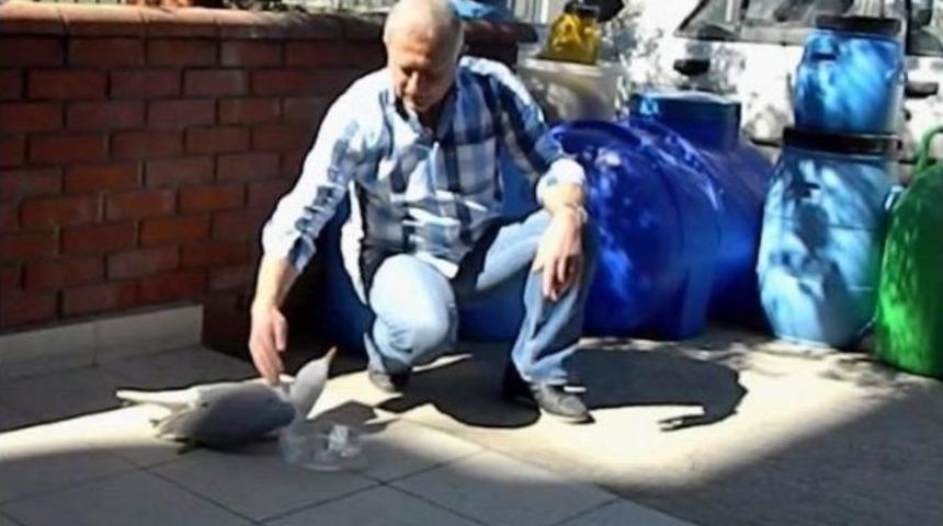 Yaralı Martıya Esnaf Sahip &Ccedil;ıktı