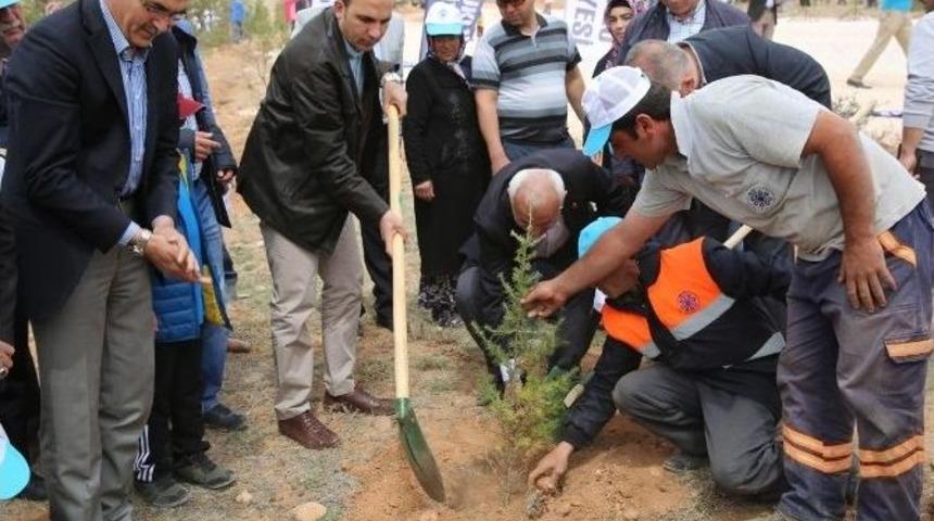 Sel&ccedil;uklu&rsquo;da 10 Bin Fidan Toprakla Buluştu