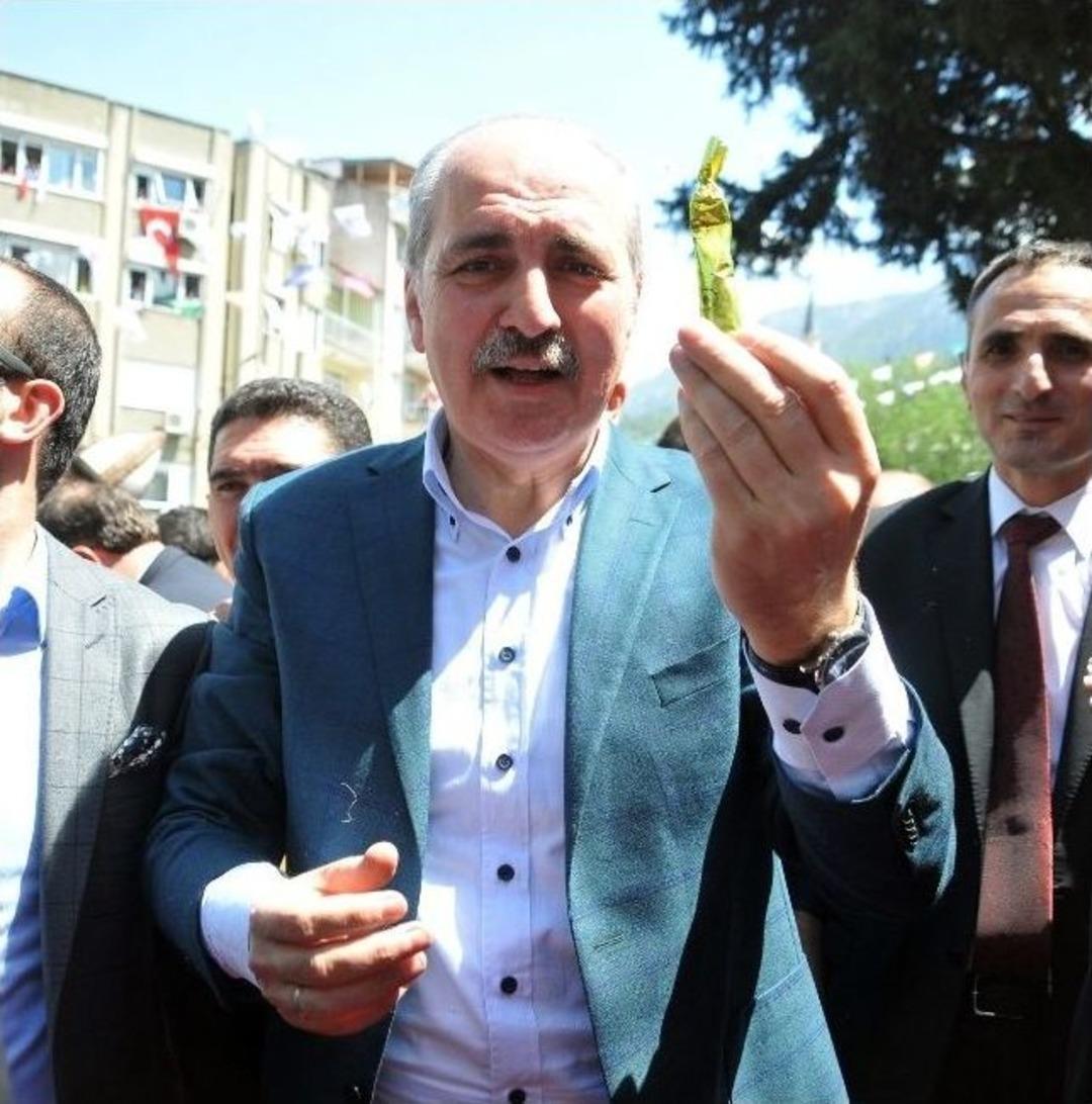 Kurtulmuş, Mesiri Hem Sa&ccedil;tı Hem Kaptı