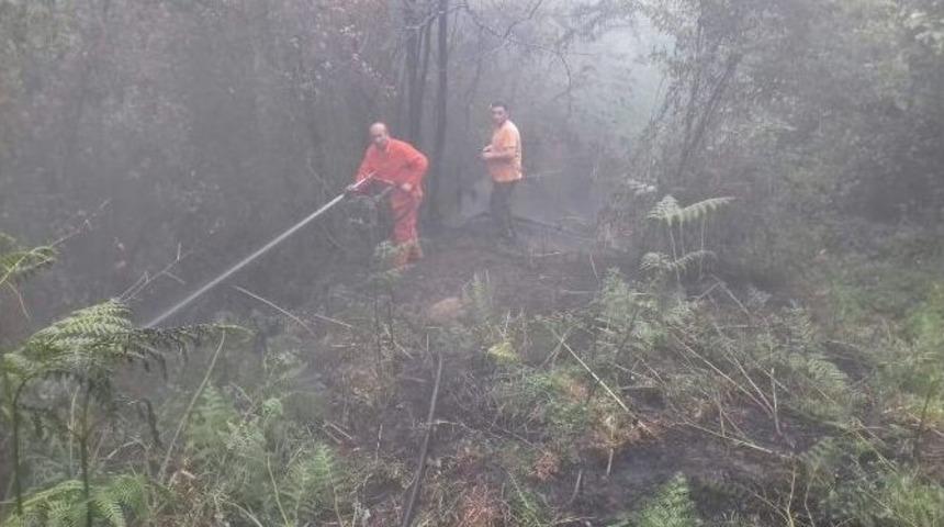 Sarıyer&rsquo;de Orman Yangını