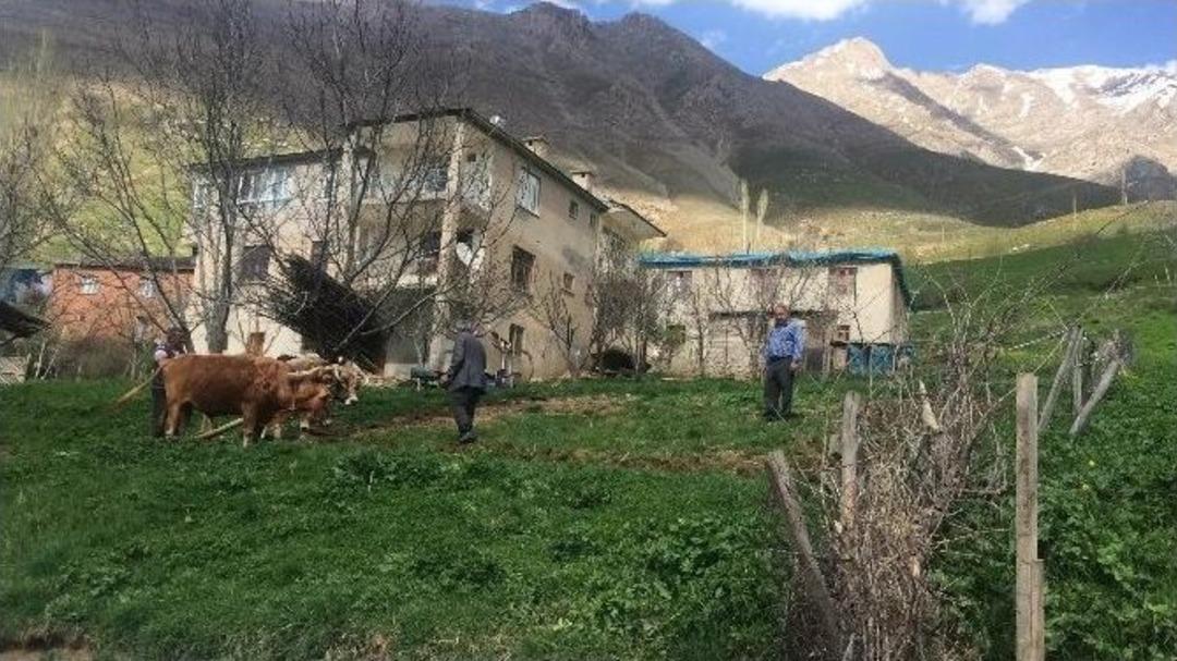 Bah&ccedil;esaray&rsquo;da Karasabanlı Tarım