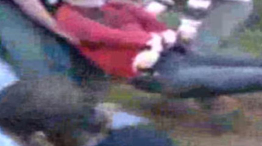 &Ccedil;&uuml;r&uuml;meyen cesetler şoke etti