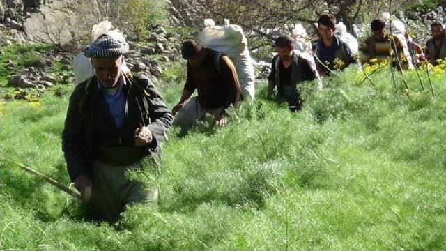 İşsiz Gençlerin Ekmek Kapısı Uçkun