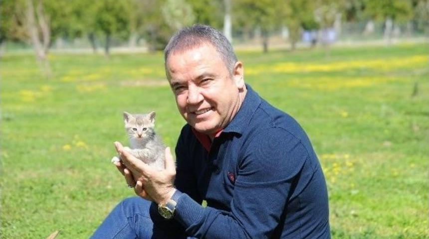 Başkan B&ouml;cek&rsquo;ten &ldquo;sahiplendirme&rdquo;ye Destek