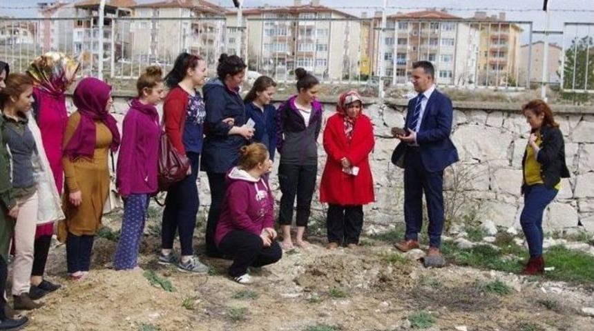 Kyk&rsquo;nın Kız &Ouml;ğrencileri Fidan Dikti