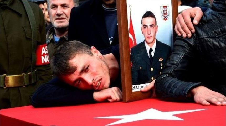 Şehit Arkadaşının Tabutuna Ve Resmine B&ouml;yle Sarılmıştı