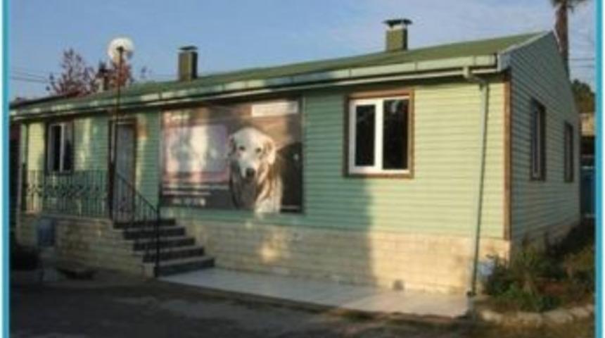 Sokak Hayvanları Ge&ccedil;ici Bakım Evi &Ccedil;alışma Y&ouml;netmeliği Hazırladı