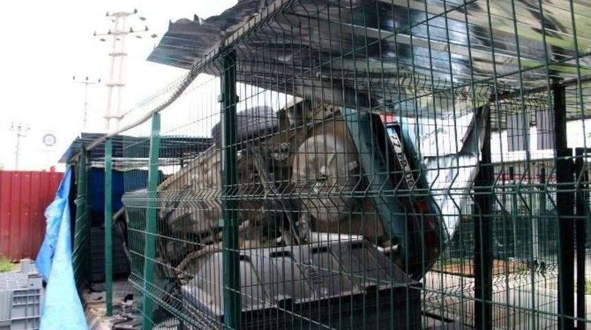 Virajı Alamayan Ara&ccedil; Hayvan Barınağına U&ccedil;tu