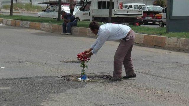 (özel Haber) Kaza Olmasın Diye Asfalta Gül Diktiler