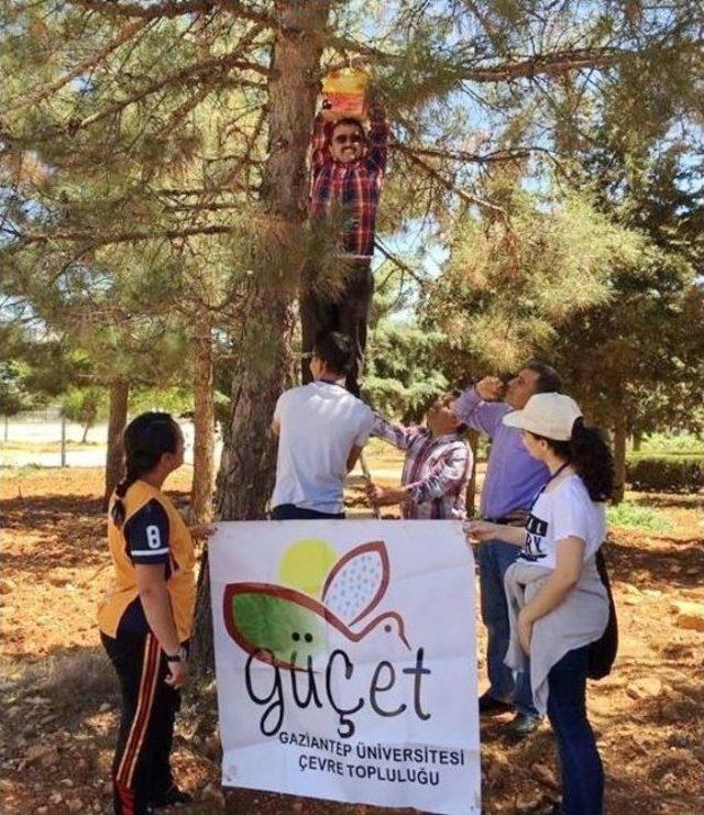 Çevre Genç Tema Topluluğundan Anlamlı Etkinlik