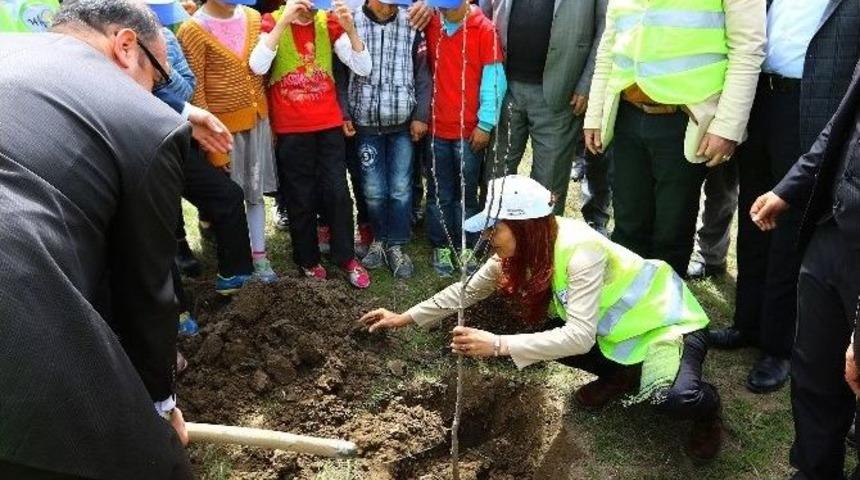 B&uuml;y&uuml;kşehir Belediyesi, 2016 Yılında 49 Bin 500 Meyve Fidanı Dikecek