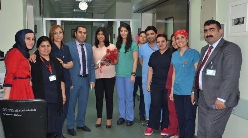 Cizre’de Ebeler Haftası Kutlaması