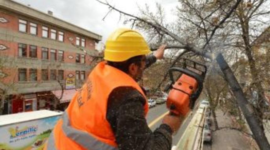 B&uuml;y&uuml;kşehir&rsquo;den Ağa&ccedil;lara Bahar Bakımı