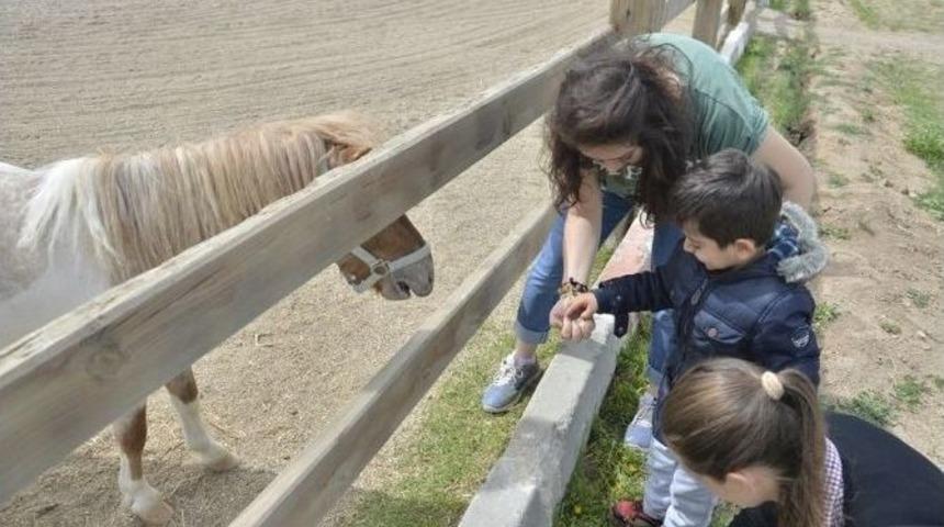 Esog&uuml; Mahmudiye At&ccedil;ılık Meslek Y&uuml;ksekokulu&rsquo;nda 23 Nisan Coşkusu