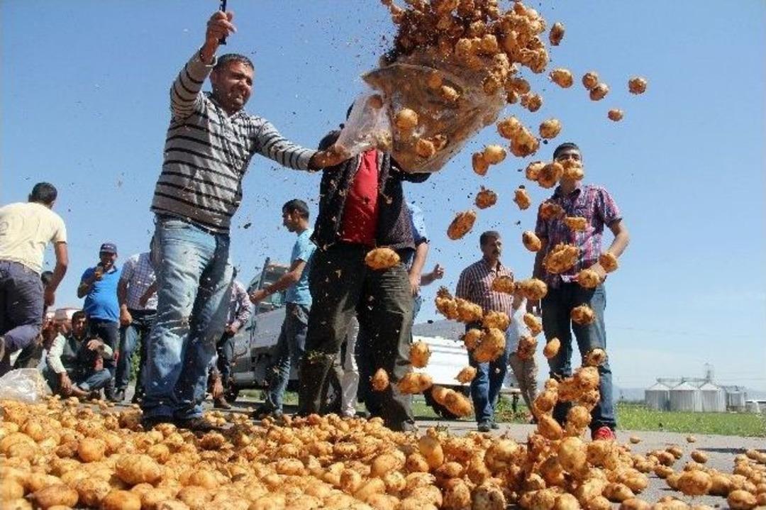 &Uuml;retici Patates D&ouml;k&uuml;p Yol Kapattı