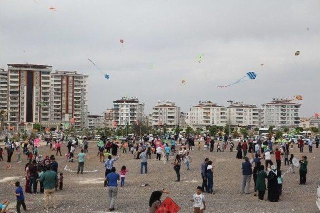 Şahinbey Gökyüzünü Uçurtmalarla Renklendirdi